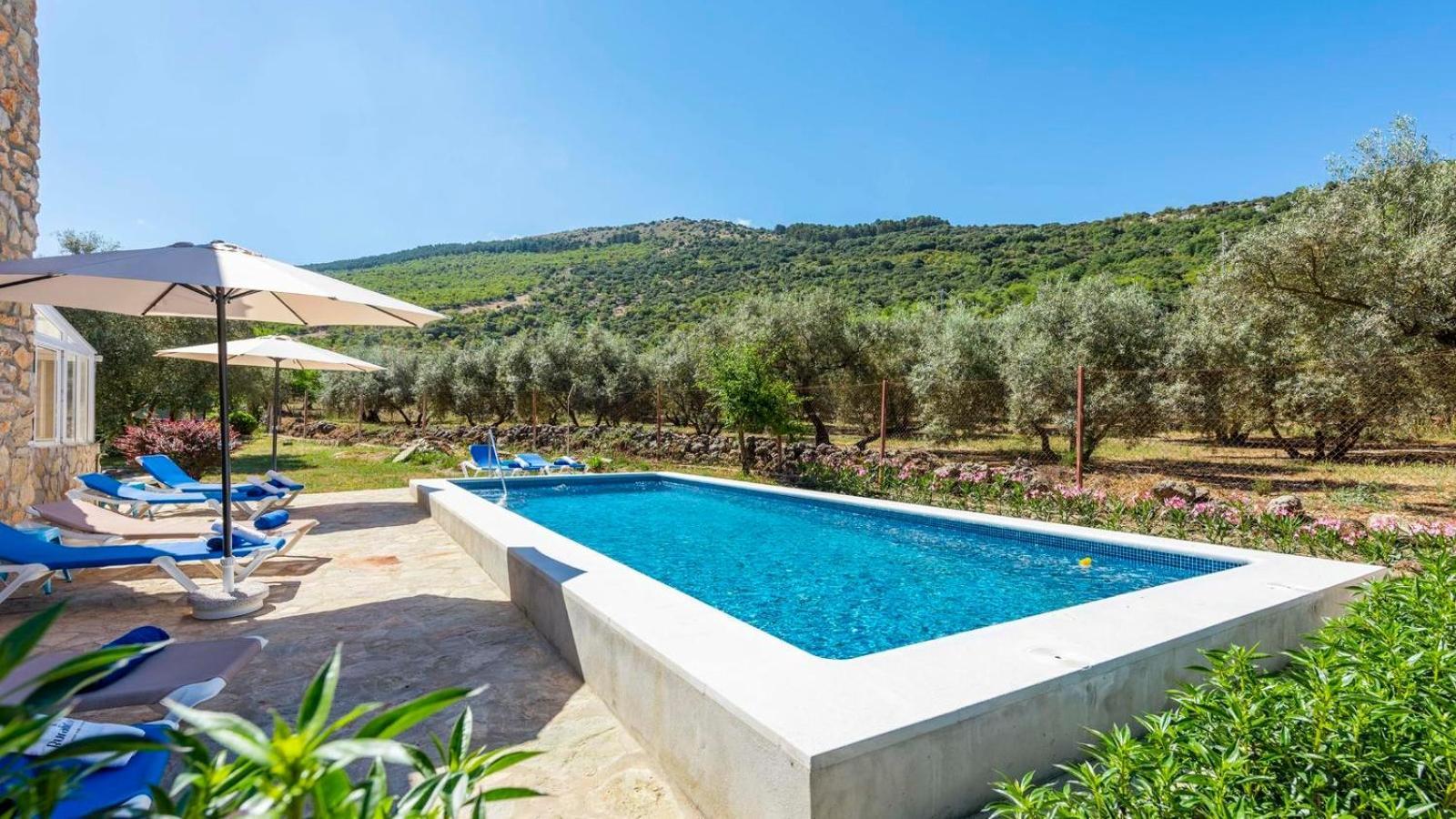 Casa Rural El Ciruelo Loco Alfarnate By Ruralidays Alfarnatejo 外观 照片