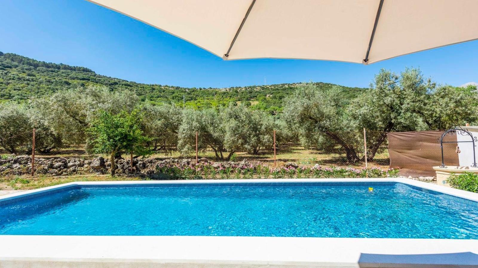 Casa Rural El Ciruelo Loco Alfarnate By Ruralidays Alfarnatejo 外观 照片